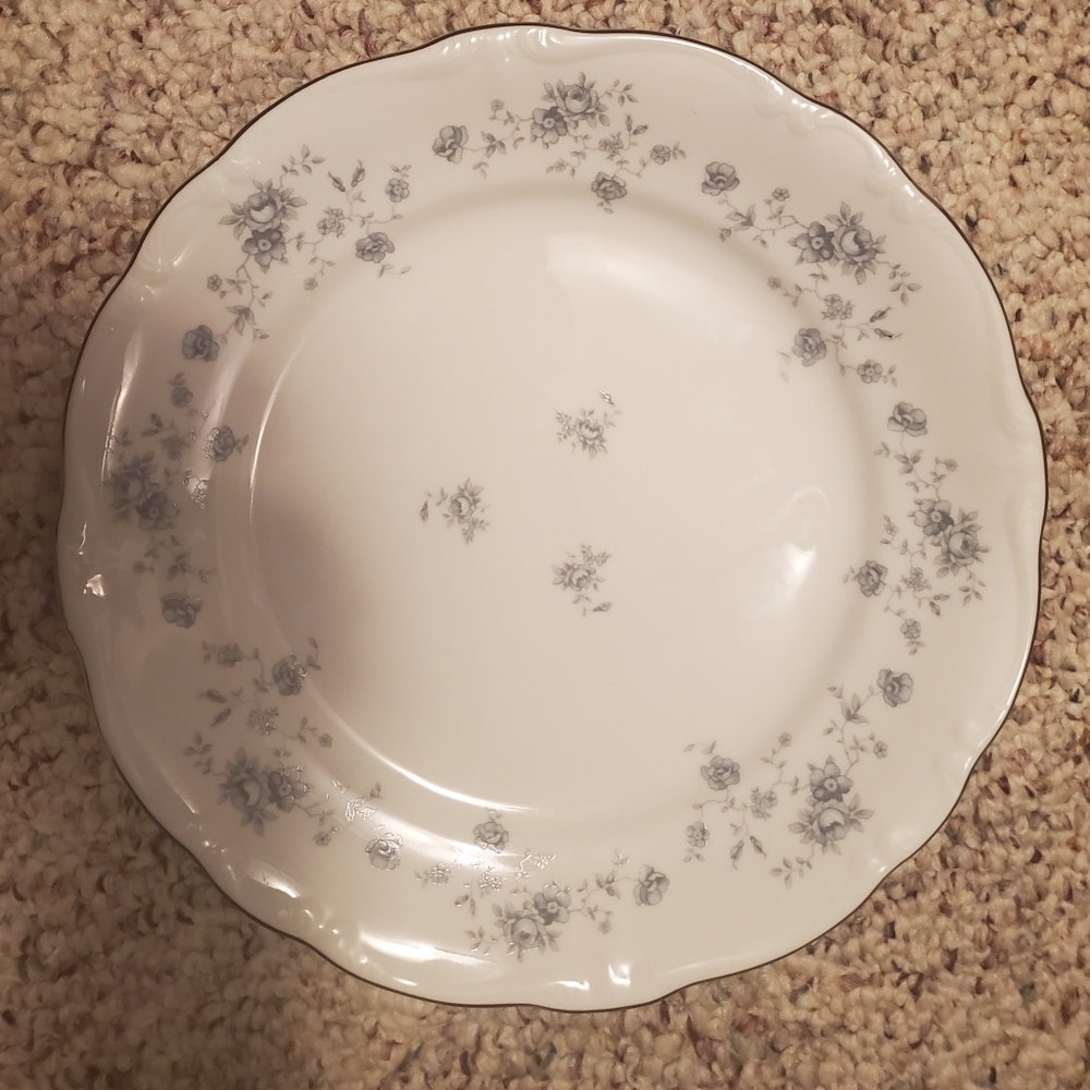 Dinner plates